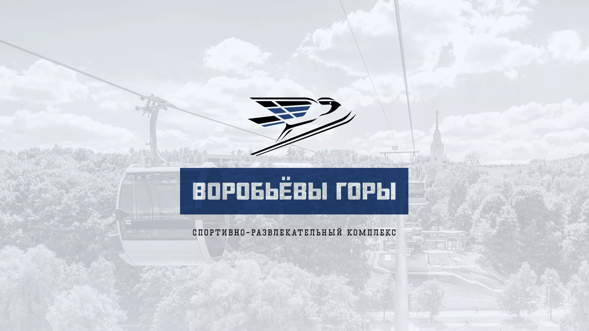 Разработка сайта в Новочеркасске для спортивно-развлекательного комплекса «Воробьёвы горы»